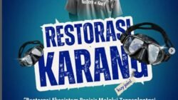 Estuaria Indonesia Gelar Restorasi Ekosistem di Pantai Dapur Mandar