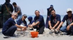 Estuaria Indonesia Bersama Telkom dan Danantara Tanam Terumbu Karang Serta Bersih Pantai Majene