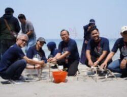 Estuaria Indonesia Bersama Telkom dan Danantara Tanam Terumbu Karang Serta Bersih Pantai Majene